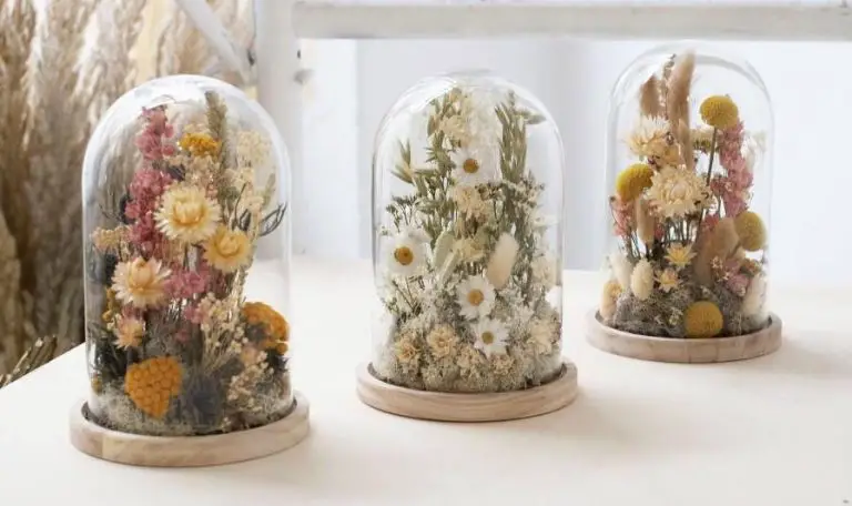 Cloche fleurs séchées : Mes fleurs sous cloche