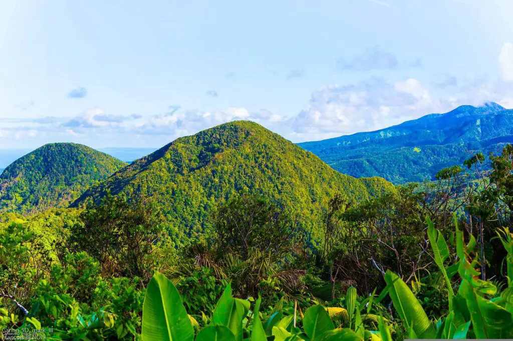 Voyage en Guadeloupe montagnes verdure